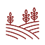 Agricultura